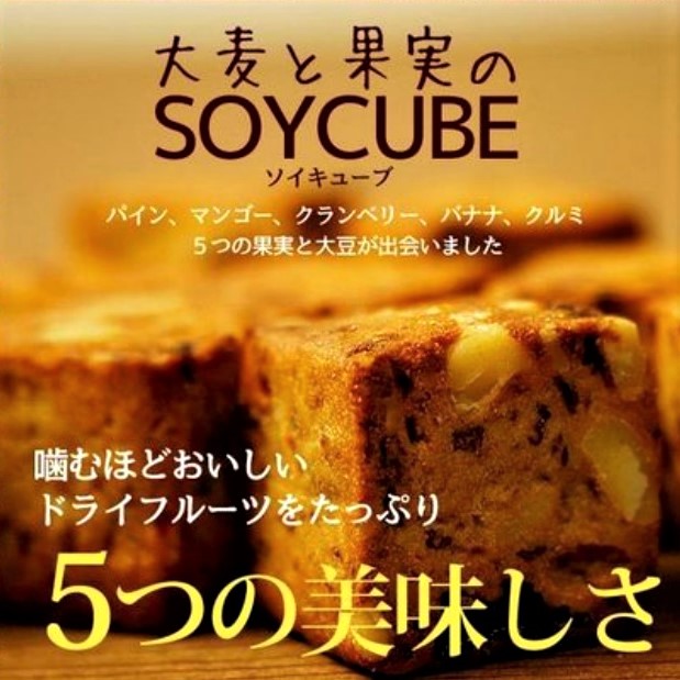 大麦と果実のソイキューブ 800g ドライフルーツがたっぷり！小麦粉不 